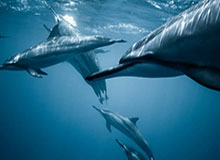 九游体育在线直播、九游体育足球直播、nba直播、电竞直播平台、九游体育赛事视频、体育直播平台-开云体育官网:一次关于热爱、信任与便捷的新旅程